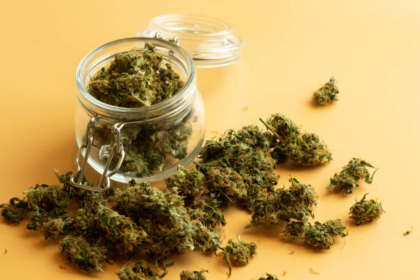 What Should You Look for When Buying CBD Gummies in Clovis?