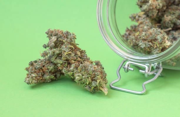 Unlock the Power of CBD Gummies for Improved Focus and Clarity in Clovis