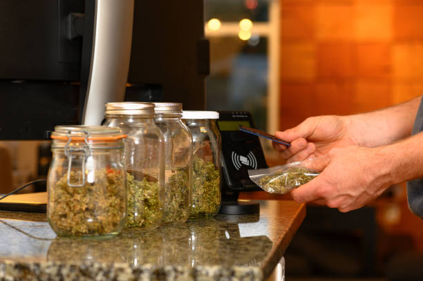 What Types of CBD Gummies are Available for Purchase in Clovis?