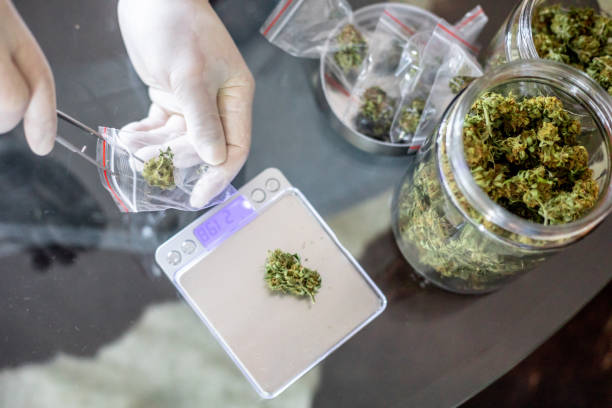 Find Out How CBD Gummies Can Help Ease Chronic Pain in Clovis